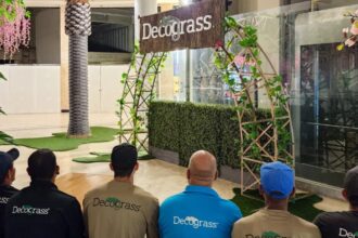 DECOGRASS|DECOGRASS|DECOGRASS