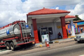 gasolina