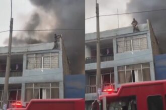 El heroico video de un hombre que rescató a 25 perritos de un edificio en llamas