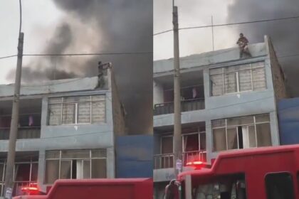 El heroico video de un hombre que rescató a 25 perritos de un edificio en llamas