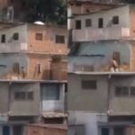 Un antisocial evadió a la policía saltando por las platabandas (techos) de las casas, en Petare (Miranda). Mientras, que otro delincuente,