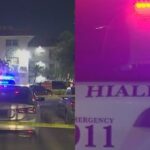 Un hombre mató de un disparo a su hijo, de seis años de edad, en Florida y luego se quitó la vida. El lamentable hecho se registró