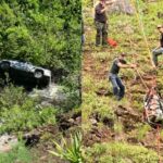 La asombrosa historia del perro que recorrió 6 kilómetros para ayudar a su dueño, quien cayó a un abismo con su carro en los Estados Unidos.  