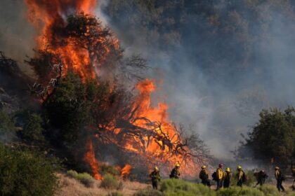 El arrasador incendio, conocido como el Post Fire, obligó la evacuación de a al menos 1.200 personas en Los Ángeles (EEUU)
