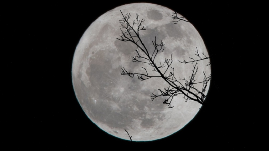 La Superluna de este agosto lunes, 19 de agosto, marcará el comienzo de una serie de fenómenos astronómicos, que generan grandes expectativas en la comunidad científica y entre los amantes de la astronomía. 