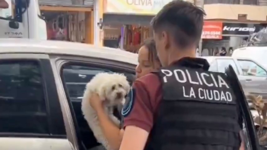 EN VIDEO: Policías rompen ventana de un carro para rescatar a un perrito antes de que muriera sofocado